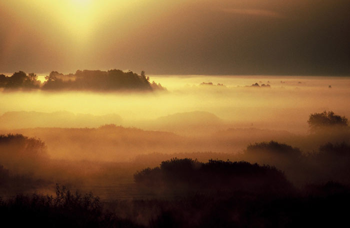 Poranne mgły nad Doliną Biebrzy (fot. Zdzisław Folga)