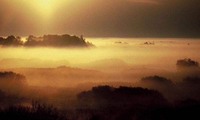 Poranne mgły nad Doliną Biebrzy (fot. Zdzisław Folga)