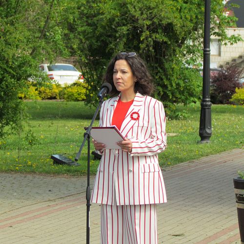 Zdjęcie